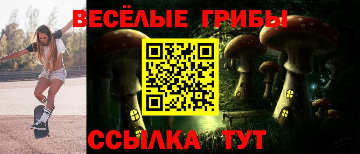 Галлюциногенные грибы Psilocybine cubensis Кириши