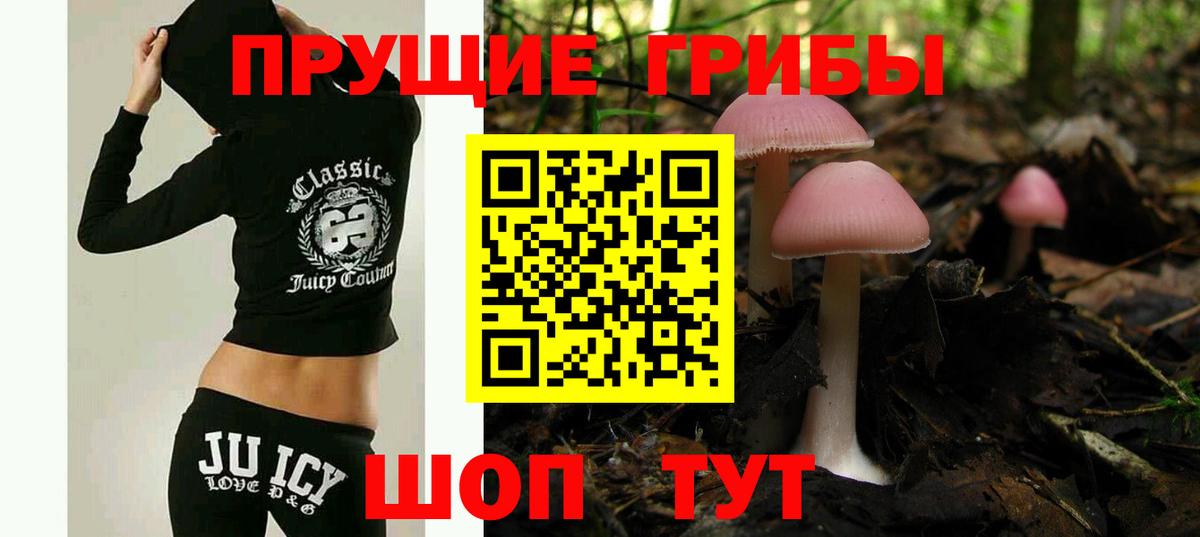 Кириши  Галлюциногенные грибы прущие грибы  Вход с VPN 