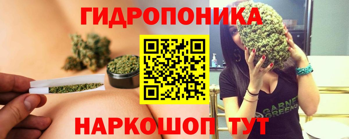 Канабис сатива Кириши